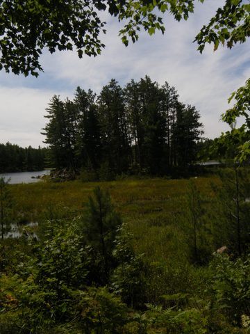 Photo from TREKKING WITH CHEV: Bon Echo's Abe’s and Essen’s Trail