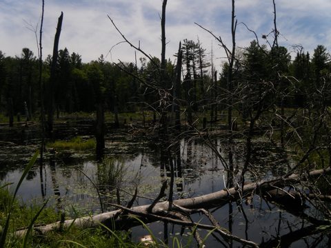 Photo from TREKKING WITH CHEV: Bon Echo's Abe’s and Essen’s Trail