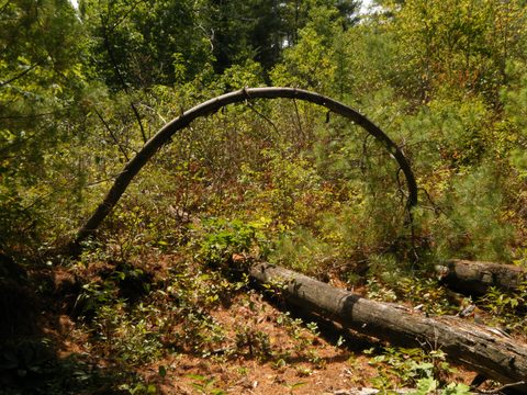 Photo from TREKKING WITH CHEV: Bon Echo's Abe’s and Essen’s Trail