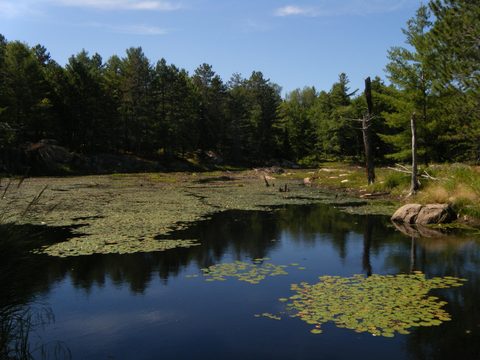 Photo from TREKKING WITH CHEV: Bon Echo's Abe’s and Essen’s Trail