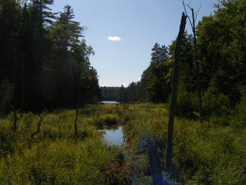 Photo from TREKKING WITH CHEV: Bon Echo's Abe’s and Essen’s Trail