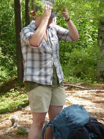 Photo from TREKKING WITH CHEV: Bon Echo's Abe’s and Essen’s Trail
