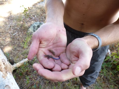 Photo from TREKKING WITH CHEV: Bon Echo's Abe’s and Essen’s Trail