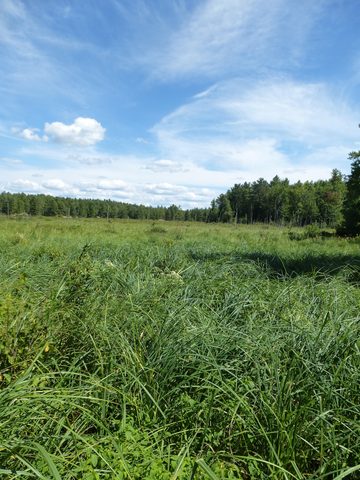 Photo from TREKKING WITH CHEV: Bon Echo's Abe’s and Essen’s Trail
