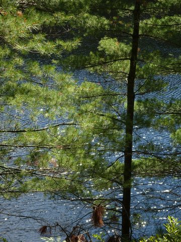 Photo from TREKKING WITH CHEV: Bon Echo's Abe’s and Essen’s Trail