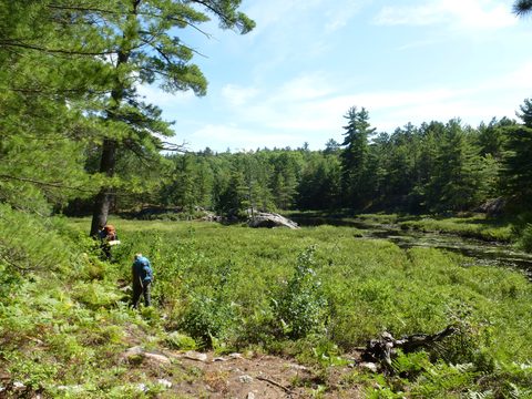 Photo from TREKKING WITH CHEV: Bon Echo's Abe’s and Essen’s Trail