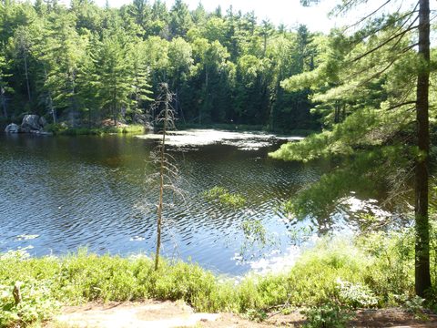 Photo from TREKKING WITH CHEV: Bon Echo's Abe’s and Essen’s Trail