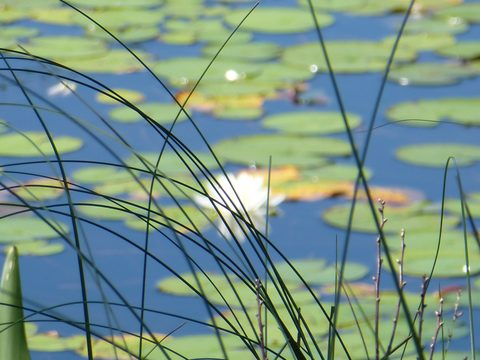 Photo from TREKKING WITH CHEV: Bon Echo's Abe’s and Essen’s Trail