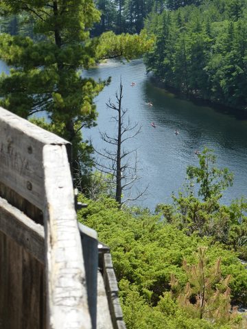 Photo from TREKKING WITH CHEV: Bon Echo's Abe’s and Essen’s Trail