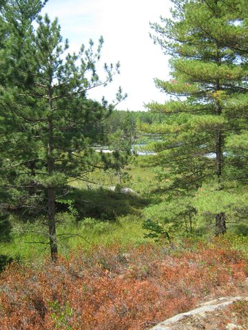 Photo from TREKKING WITH CHEV: Bon Echo's Abe’s and Essen’s Trail