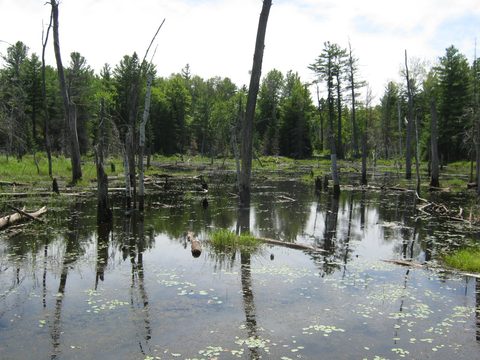 Photo from TREKKING WITH CHEV: Bon Echo's Abe’s and Essen’s Trail