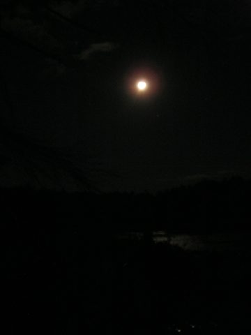 Photo from TREKKING WITH CHEV: Bon Echo's Abe’s and Essen’s Trail