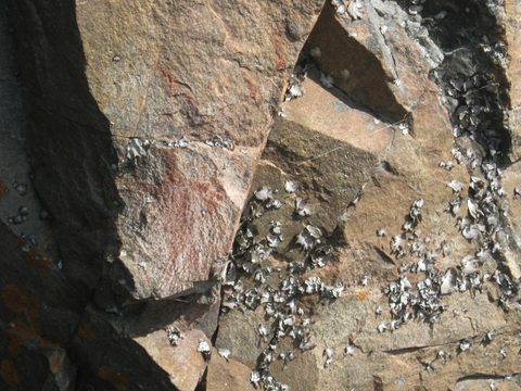 Photo from TREKKING WITH CHEV: Bon Echo's Abe’s and Essen’s Trail