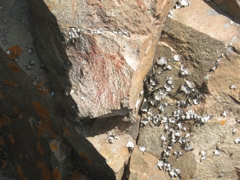 Photo from TREKKING WITH CHEV: Bon Echo's Abe’s and Essen’s Trail
