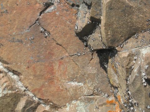 Photo from TREKKING WITH CHEV: Bon Echo's Abe’s and Essen’s Trail
