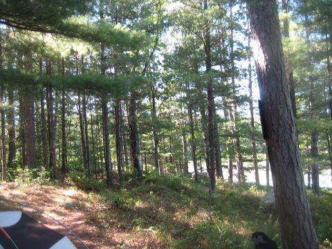 Photo from TREKKING WITH CHEV: Bon Echo's Abe’s and Essen’s Trail