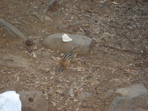 Photo from TREKKING WITH CHEV: Bon Echo's Abe’s and Essen’s Trail