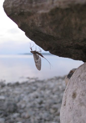 Photo from Backpack or Kayak camping, Reed's Dump, Bruce Peninsula