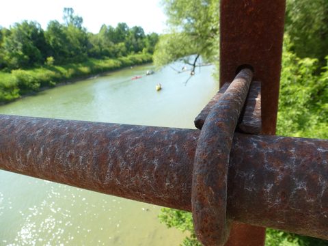 Photo from Slowly Drift down the Saugeen River (Beginner Friendly)