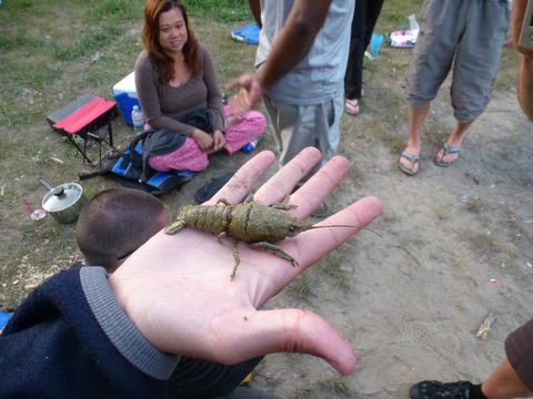 Photo from Slowly Drift down the Saugeen River (Beginner Friendly)