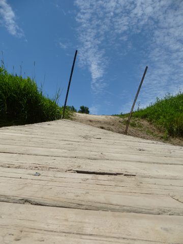 Photo from Slowly Drift down the Saugeen River (Beginner Friendly)