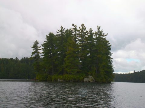 Photo from Canoe & camp on Oxtongue river