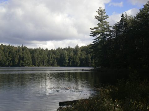 Photo from Canoe & camp on Oxtongue river
