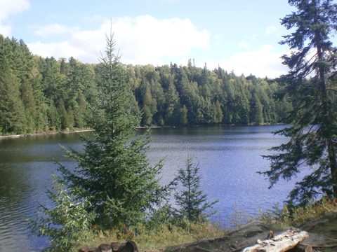 Photo from Canoe & camp on Oxtongue river