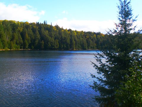 Photo from Canoe & camp on Oxtongue river