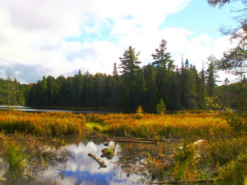 Photo from Canoe & camp on Oxtongue river