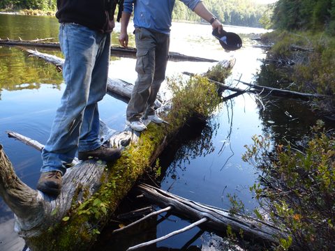 Photo from Canoe & camp on Oxtongue river