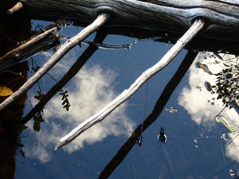 Photo from Canoe & camp on Oxtongue river