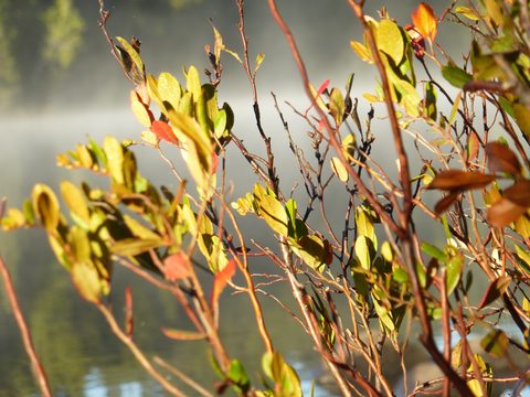 Photo from Canoe & camp on Oxtongue river