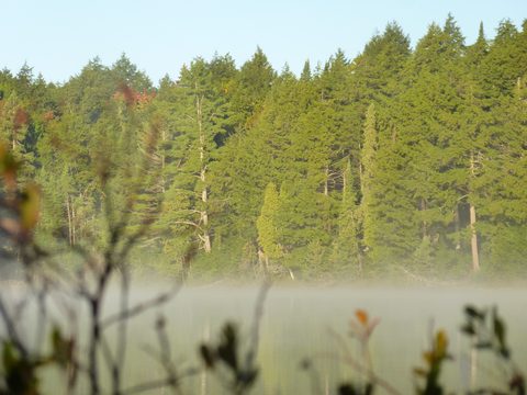 Photo from Canoe & camp on Oxtongue river