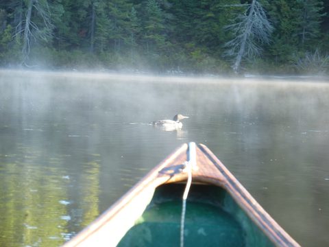 Photo from Canoe & camp on Oxtongue river