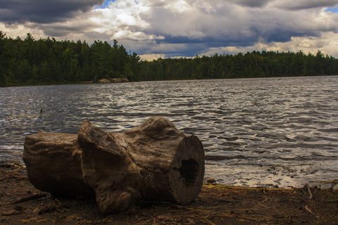 Photo from Backpacking Western Uplands Trail