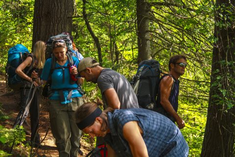 Photo from Backpacking Western Uplands Trail