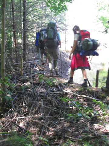 Photo from Backpacking Western Uplands Trail