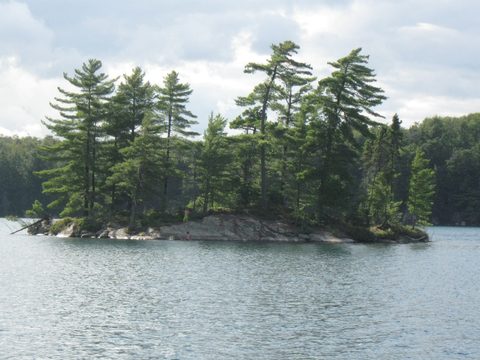 Photo from Backpacking Western Uplands Trail