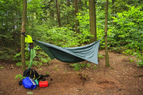Photo from Backpacking Western Uplands Trail