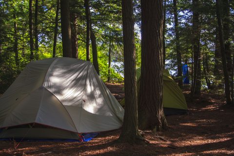 Photo from Backpacking Western Uplands Trail