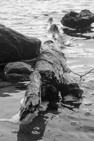 Photo from Backpacking Western Uplands Trail