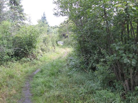 Photo from Backpacking Western Uplands Trail