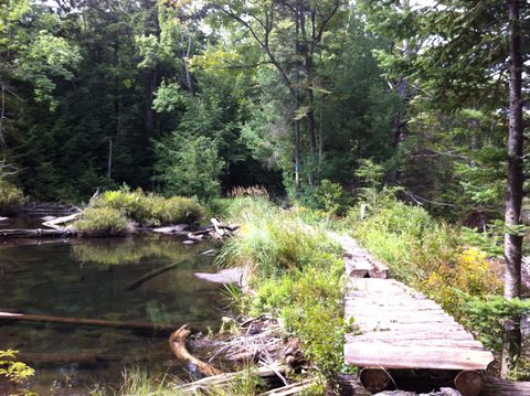 Photo from Backpacking Western Uplands Trail