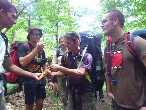 Photo from Backpacking Western Uplands Trail