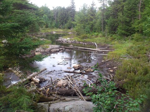 Photo from Backpacking Western Uplands Trail