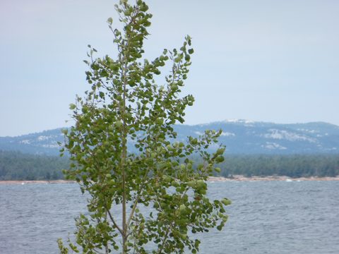Photo from Kayaking, Deer Island and the Chickens, Georgian Bay