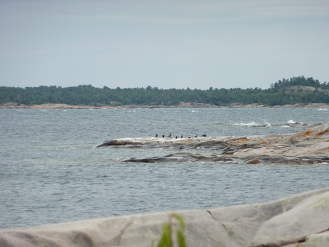 Photo from Kayaking, Deer Island and the Chickens, Georgian Bay