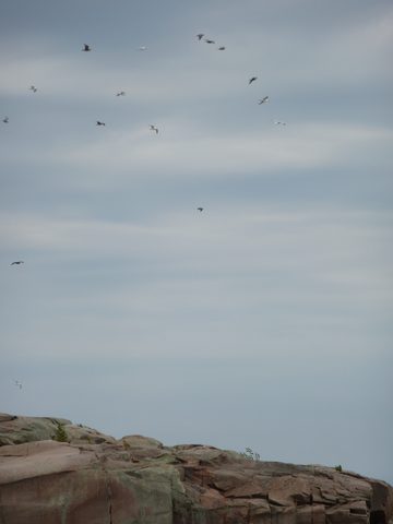 Photo from Kayaking, Deer Island and the Chickens, Georgian Bay