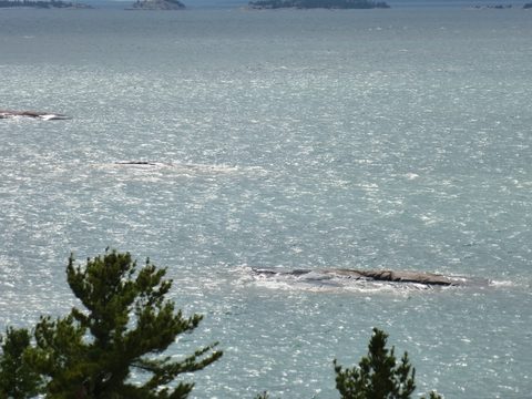 Photo from Kayaking, Deer Island and the Chickens, Georgian Bay
